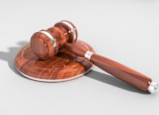 Jaka jest kara za niezgłoszenie kur?