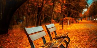 Czy można siedzieć w samochodzie na autostradzie?