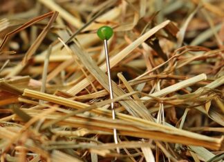 Dlaczego trudno wyjść z poślizgu? Dlaczego trudno wyjść z poślizgu?