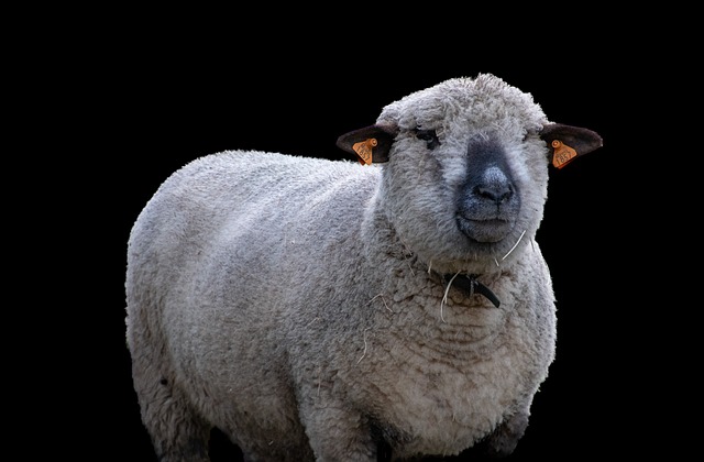 Co opłaca się hodować?