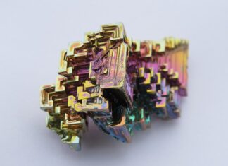 Co się hoduje? Co się hoduje?