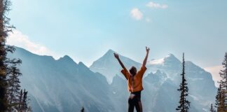 Co to jest program hodowlany?