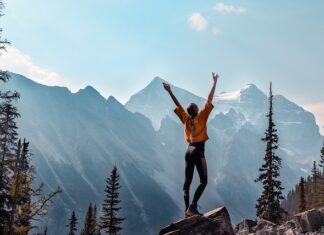 Co to jest program hodowlany? Co to jest program hodowlany?