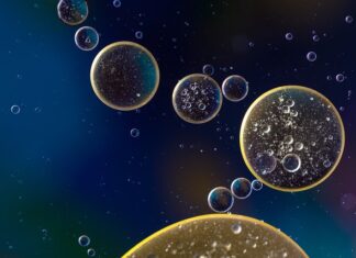 Ile litrów oleju hydraulicznego wchodzi do bizona? Ile litrów oleju hydraulicznego wchodzi do bizona?