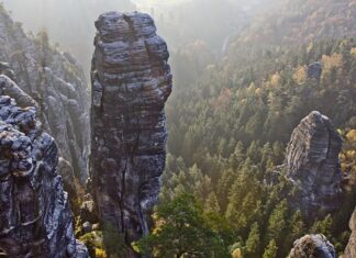 Ile kosztuje Ogar? Ile kosztuje Ogar?