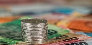 Jaki jest koszt założenia hodowli psów?