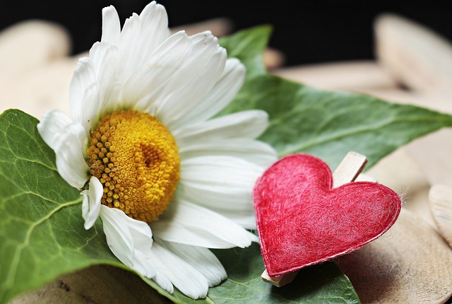 Od czego psuje się zacisk hamulcowy? Od czego psuje się zacisk hamulcowy?