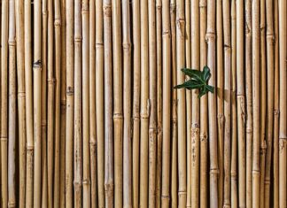 Jak zrobić sztywny hol?