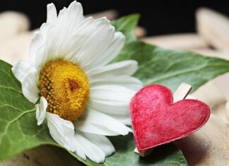 Dlaczego trzyma zacisk hamulcowy?