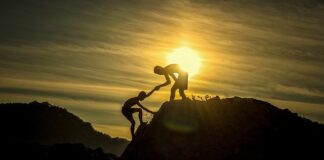 Na czym polega praca hodowlana?