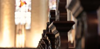 Czy stowarzyszenie to legalna hodowla?