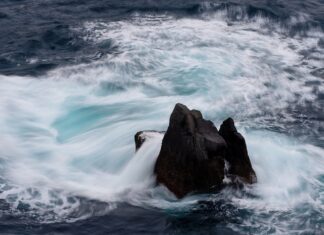 Jakie są ceny Hondy CR-V? Jakie są ceny Hondy CR-V?