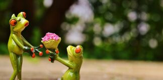 Ile kosztuje OC na kombajn?