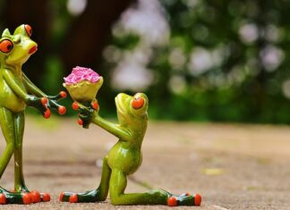 Ile kosztuje OC na kombajn? Ile kosztuje OC na kombajn?