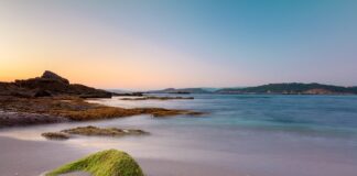 Ile na godzinę jedzie motor 50?