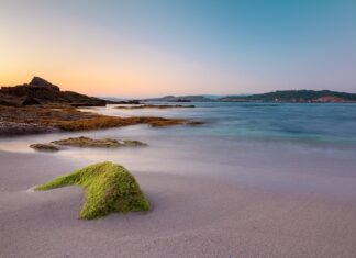 Ile na godzinę jedzie motor 50? Ile na godzinę jedzie motor 50?