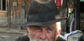 Jak zostać hodowca?