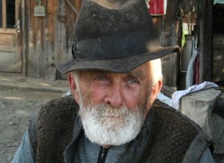 Jak zostać hodowca?