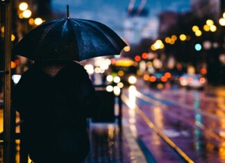 Czy w Euro Truck Simulator 2 można grac na padzie? Czy w Euro Truck Simulator 2 można grac na padzie?