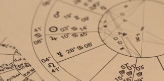 Czym się różni Baran od owcy?