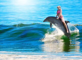 Ile max jedzie 125? Ile max jedzie 125?