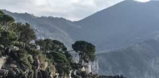 Ile kosztuje Ford Ranger?