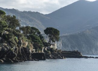 Ile kosztuje Ford Ranger?