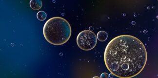 Co ile wymiana oleju w hamulcach rowerowych?