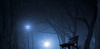 Jakie były polskie samochody?