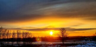 W jakiej sytuacji kierowcą samochodu ciężarowego może spodziewać się zjawiska Fadingu?