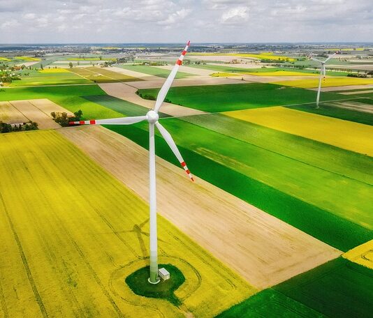 Co opłaca się uprawiać na 1 ha? Co opłaca się uprawiać na 1 ha?