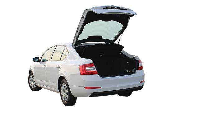 Z jakiego kraju pochodzi Skoda?