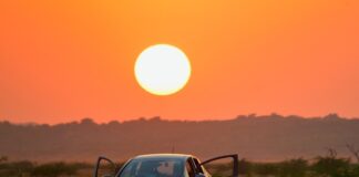 Ile kosztuje Honda Jazz hybryda?