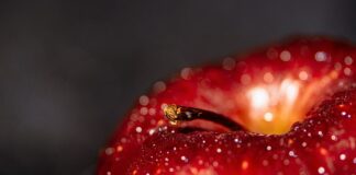 Jakie korzyści mamy z hodowli zwierząt?