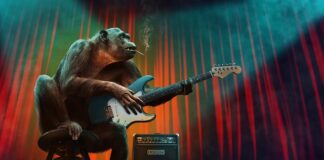 Jakie są etapy pracy hodowlanej?