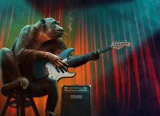 Jakie są etapy pracy hodowlanej? Jakie są etapy pracy hodowlanej?