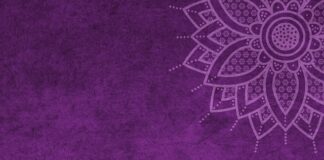 Ile wynosi mandat za jazdę z Hederem?