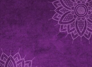 Ile wynosi mandat za jazdę z Hederem? Ile wynosi mandat za jazdę z Hederem?