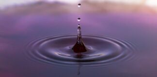 Jaka jest dopłata do koni?