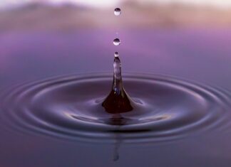 Jaka jest dopłata do koni?