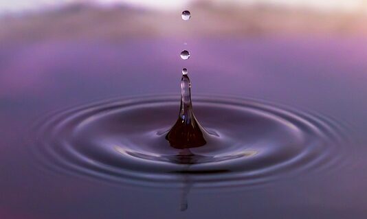 Jaka jest dopłata do koni? Jaka jest dopłata do koni?