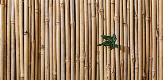 Jak jechać na sztywnym holu?