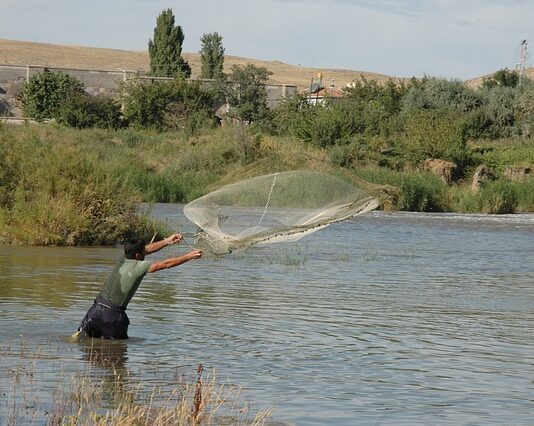 Jak Zszyć siatkę? Jak Zszyć siatkę?
