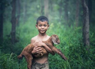 Jak wyjąc kozę z nosa noworodkowi? Jak wyjąc kozę z nosa noworodkowi?