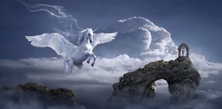 Czego symbolem jest skrzydło?