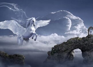 Czego symbolem jest skrzydło?