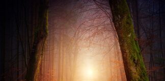 Jakie rachunki do alimentów?