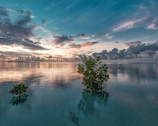Jak przerobić narożnik na sofę? Jak przerobić narożnik na sofę?