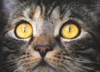 Jakie stężenie soli fizjologicznej dla dzieci? Jakie stężenie soli fizjologicznej dla dzieci?