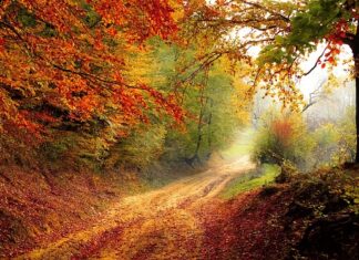 Jak zrobić ścieżkę sensoryczną w domu?